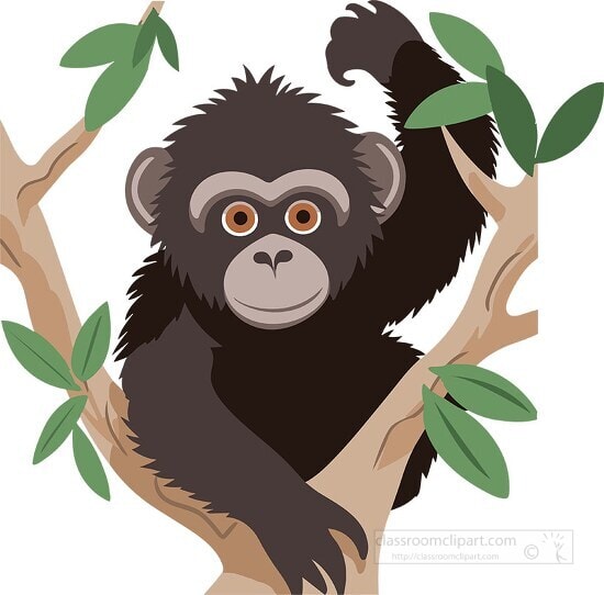 APE