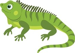IGUANA