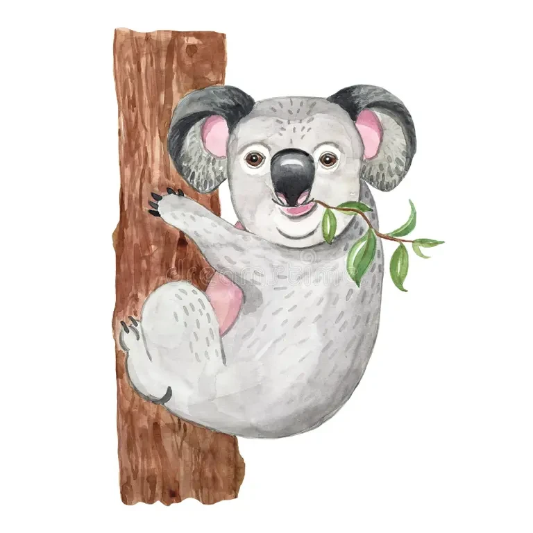 KOALA