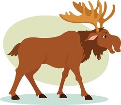 MOOSE