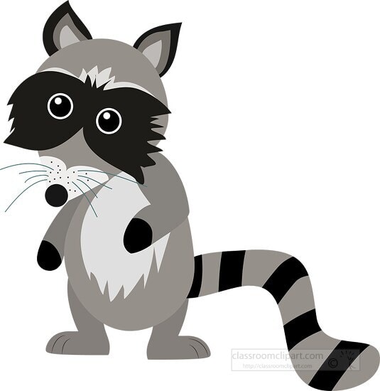 RACCOON