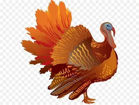 TURKEY