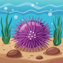 URCHIN