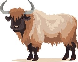 YAK