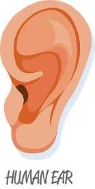 EAR