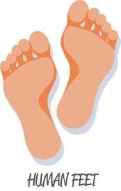 FOOT